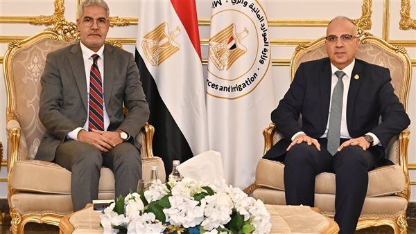 سويلم: مصر حريصة على تعزيز التعاون العربي في إدارة الموارد المائية لتحقيق الأمن الغذائي