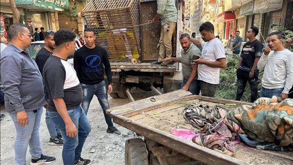 محافظة الجيزة: رفع إشغالات وتعديات الباعة والمحال التجارية بشارع سليم بفيصل