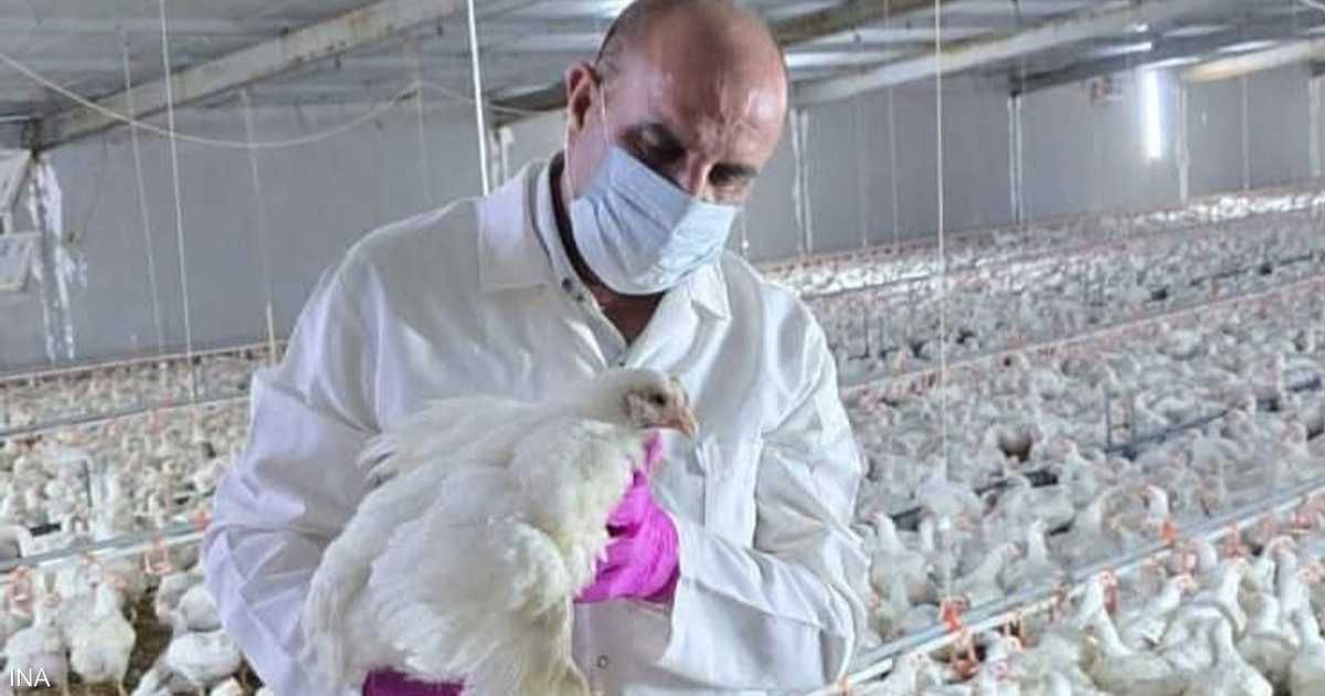 العالم اليوم - العراق يبلغ عن تفشي السلالة "إتش5إن1" من إنفلونزا الطيور