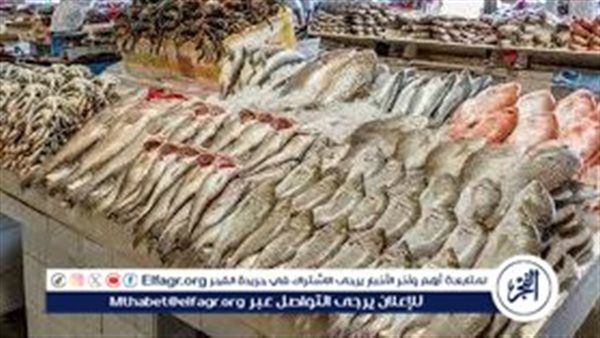 ارتفاع أسعار السمك والمأكولات البحرية في سوق العبور الأربعاء 15 أكتوبر 2025