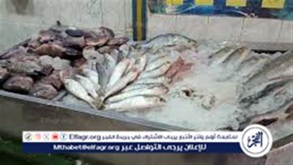 قبل ما تشتري.. اعرف أسعار السمك النهاردة في الأسواق وسوق العبور