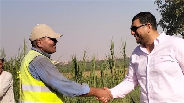 زراعة 45 عمود إنارة على طريق 53 المريوطية بالناصرية في العياط