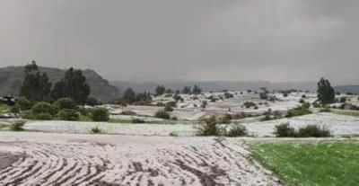 أخبار اليمن : الشوافي يحذّر من الصقيع في هذه المناطق