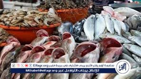 أسعار السمك اليوم الإثنين 20 أكتوبر 2025.. استقرار في الأسواق وبلطي بـ115 جنيهًا للكيلو