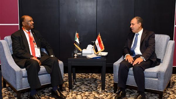 وزير الخارجية يلتقي نظيره السودانى على هامش منتدى أسوان للسلام والتنمية المستدامة