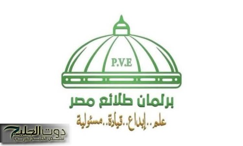 شباب وبرلمان الطلائع يواصلون التميز بدعم من وزارة الشباب والرياضة