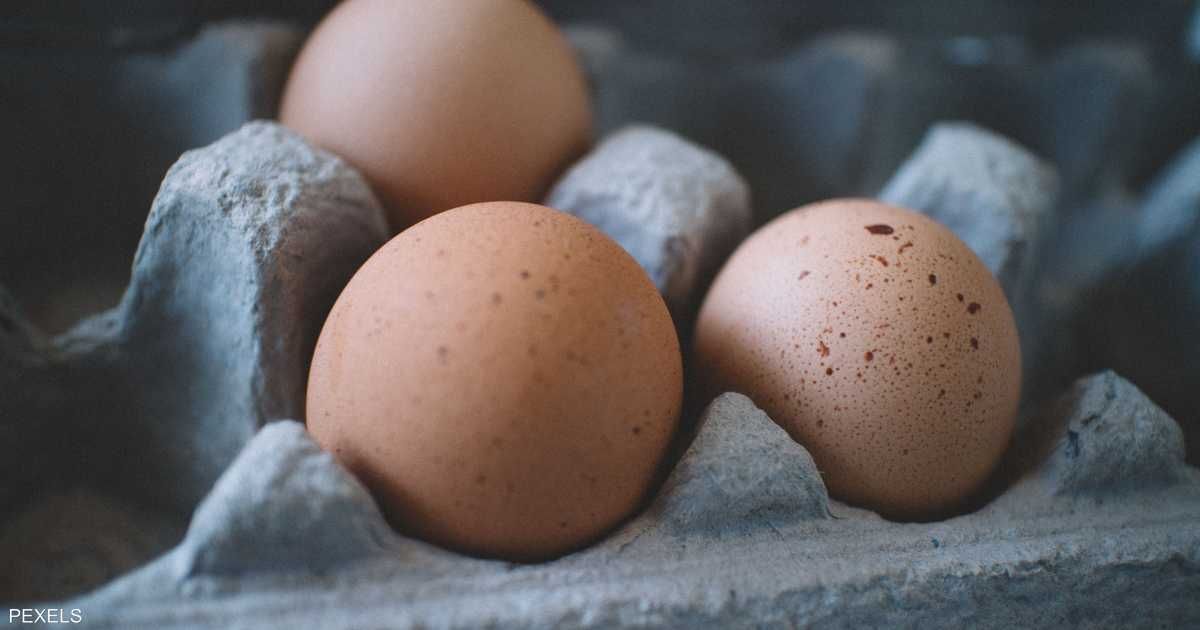 العالم اليوم - دراسة تكشف الأفضل للصحة.. البيض البني أم الأبيض؟