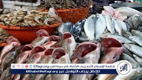 الأسعار اتحركت تاني.. مفاجآت في سعر السمك والجمبري النهارده السبت 25 أكتوبر 2025