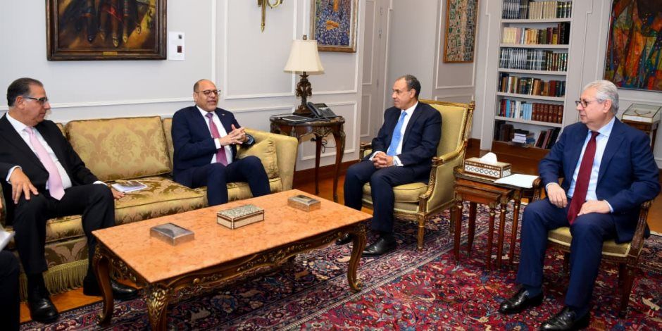 وزيرا الخارجية والعمل يناقشان الهجرة والعمالة المصرية بالخارج