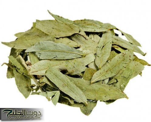 “أنسى وجع القولون”…قاهر البراز المتحجر عشبة جبارة موجودة في كل مطبخ تنظف القولون في 5 دقائق