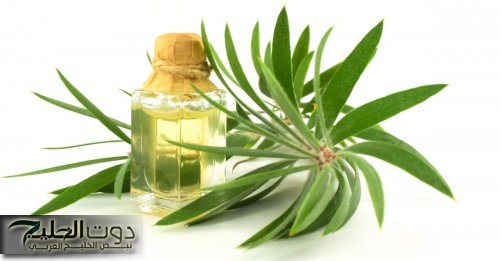 تعرف على فوائد زيت شجرة الشاي لعلاج مشكلات صحية متعددة