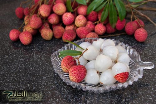 هترجعي لسن العشرين.. عشبة جهنمية تؤخر الشيخوخة وهترجعك شباب حتي لو كان عمرك 70 سنة