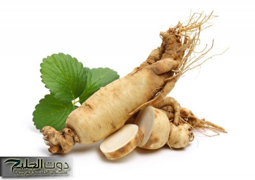 العشبة المعجزة.. نبات يؤخر الشيخوخة ويقلل من علامات تقدم السن.. هترجعي شباب لو عمرك اكثر من 70 سنه