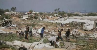 أخبار اليمن : غزة.. تضرر 87% من الأراضي الزراعية