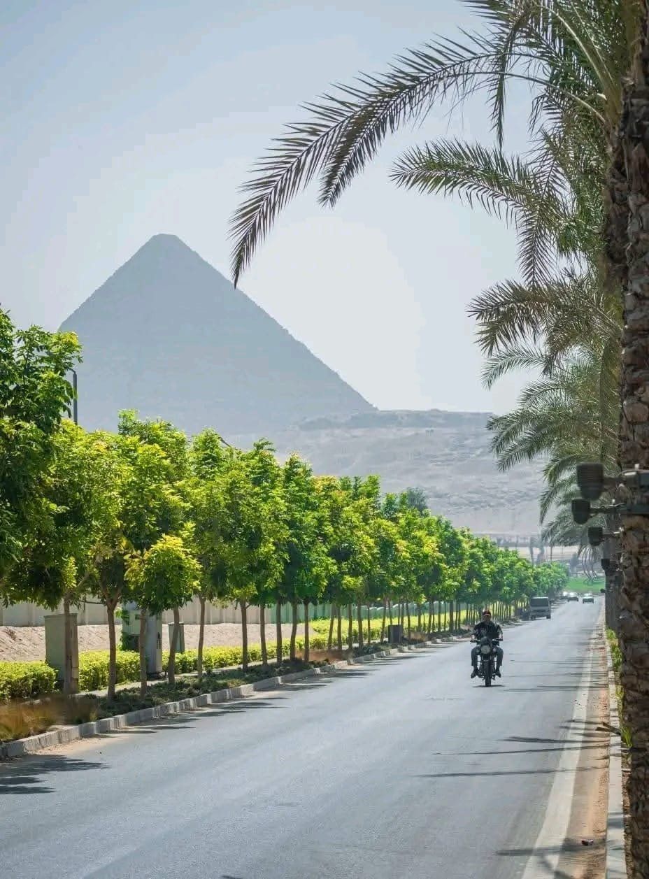 الجيزة تتزين استعدادا لافتتاح المتحف الكبير الجيزة تتزين استعدادا لافتتاح المتحف الكبير