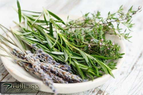 العشبة المعجزة.. نبات يؤخر الشيخوخة ويقلل من علامات تقدم السن.. هترجعي شباب لو عمرك اكثر من 70 سنه