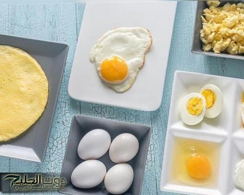 الفراعنة اللي عارفين.. أيهما أكثر فائدة لصحتك البيض المسلوق أم المقلي؟