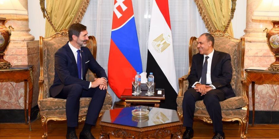 وزيرا خارجية مصر وسلوفاكيا يبحثان تعزيز التعاون الاقتصادي والتنسيق بشأن غزة