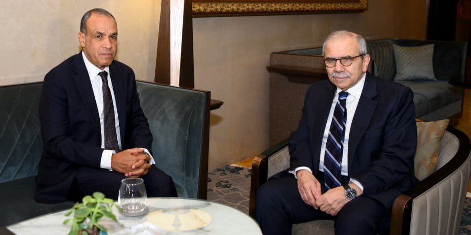 وزير الخارجية يلتقي رئيس وزراء لبنان ويجدد التأكيد على موقف مصر الثابت فى دعم سيادة بلاده