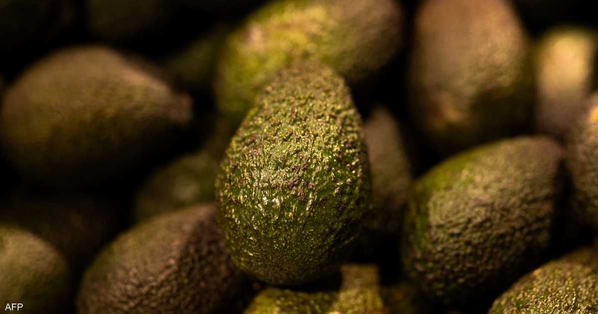 العالم اليوم - لا تتخلص من قشرة الأفوكادو… هذه فوائدها على الصحة