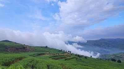 أخبار اليمن : أجواء شديدة البرودة في هذه المناطق