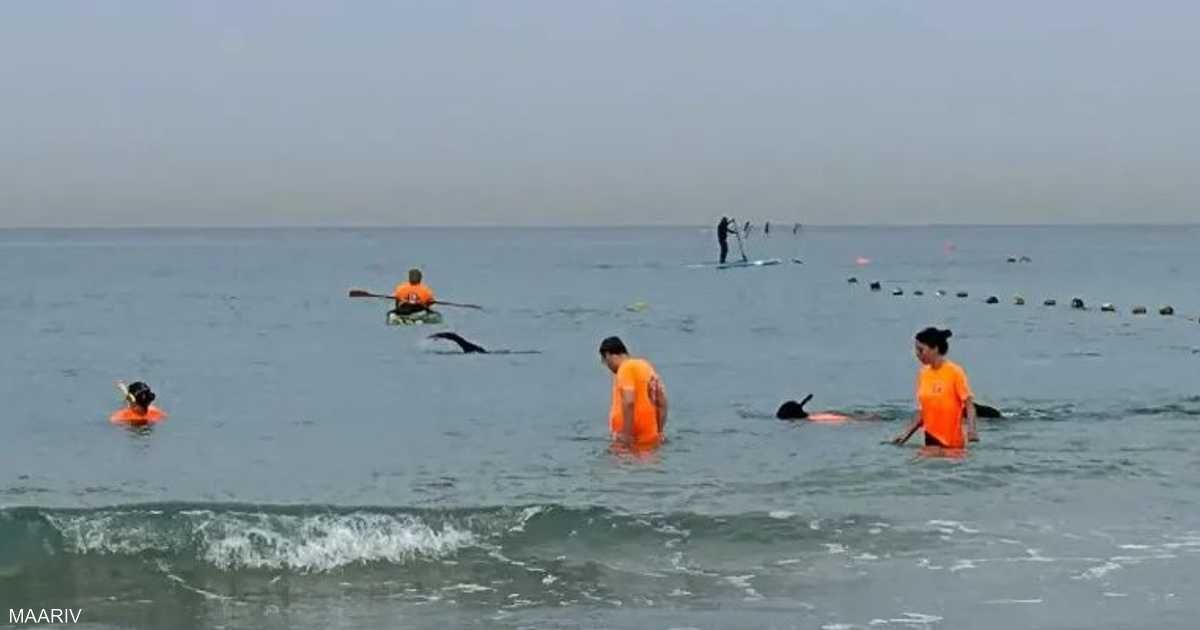 العالم اليوم - حتى في البحر.. إسرائيل تبحث عن "الهاتف المفقود"