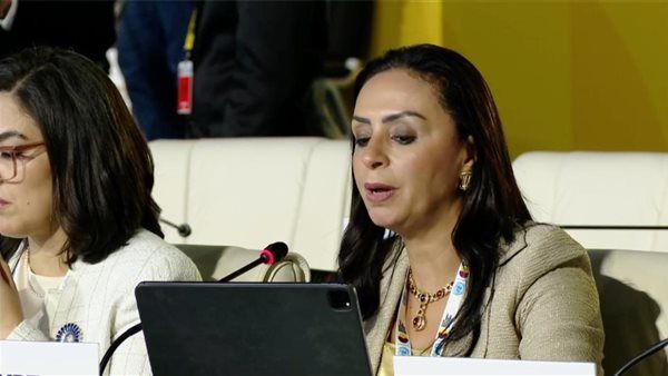 التضامن تشارك في المائدة المستديرة رفيعة المستوى بعنوان " تعزيز الركائز الثلاث للتنمية الاجتماعية