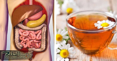 "كُل كل الي نفسك فيه"!!...علاج القولون السريع في عشر دقائق بخطوة طبيعية بالاعشاب تخليك تحس بالفرق