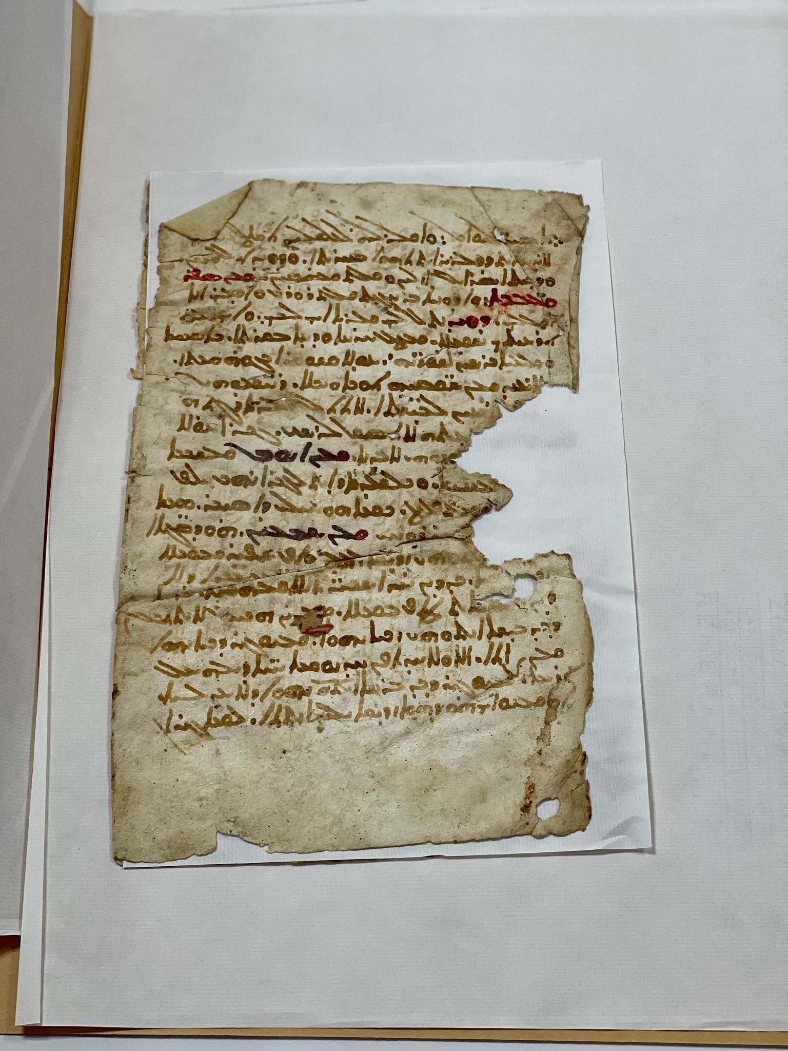 575093184_1149513630691815_635794779981210089_n 575093184_1149513630691815_635794779981210089_n