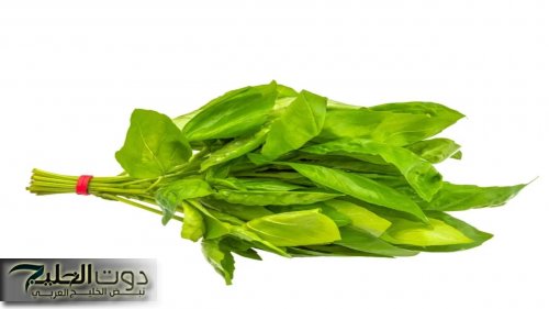 "من غير ادوية ومواد كيماوية!!!...تمتعي بكلى صحيه ونظيفة بخطوات بسيطة وبدون تكاليف...عيشي حياتك بشكل