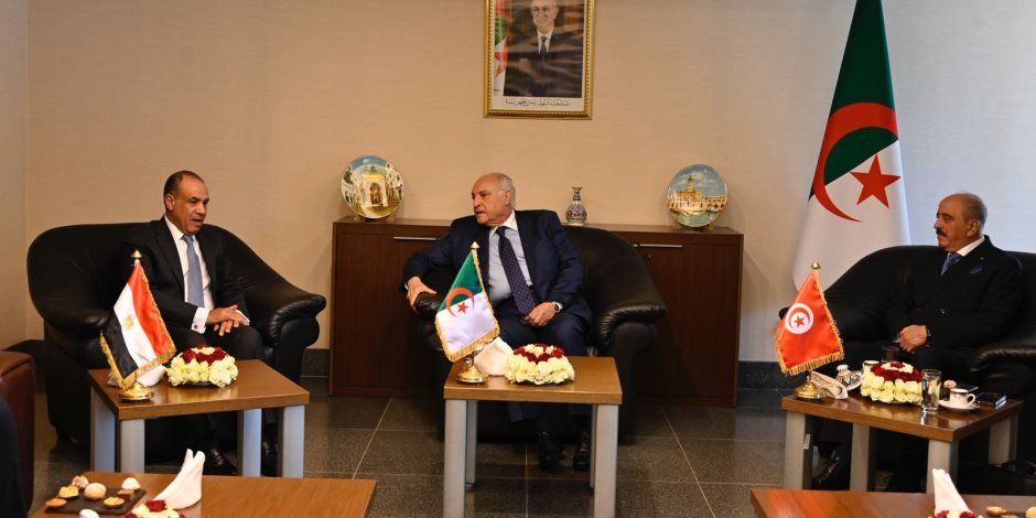 مصر والجزائر وتونس يؤكدون أهمية ومحورية "مبدأ ملكية وقيادة" الليبيين للتسوية السياسية