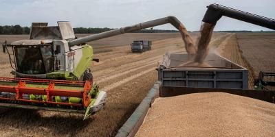 تراجع أسعار الغذاء عالمياً