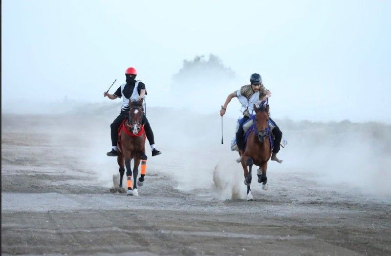 لجنة الفروسية بشناص تنظم سباق الخيل التأهيلي