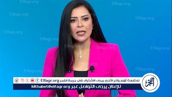 أمل الحناوي: القاهرة تنجح في تثبيت التهدئة وتواصل جهودها لتجنب التصعيد في غزة