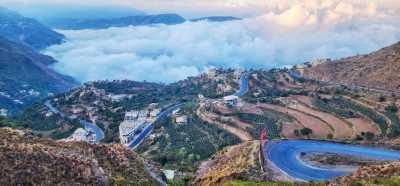 أخبار اليمن : انحسار موجة الصقيع.. والشوافي يحذّر