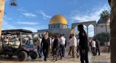 أخبار اليمن : 833 مستوطن يقتحمون المسجد الأقصى