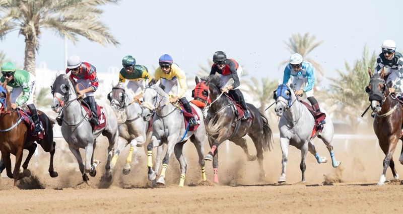 الدستور وأمبير وترجمان ولايت وياسرة والعقاب والعميد وحريب يخطفون المراكز الأولى