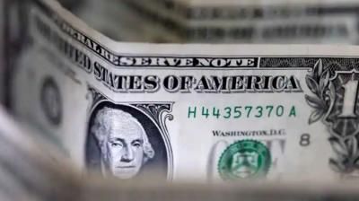 استقرار سعر الدولار