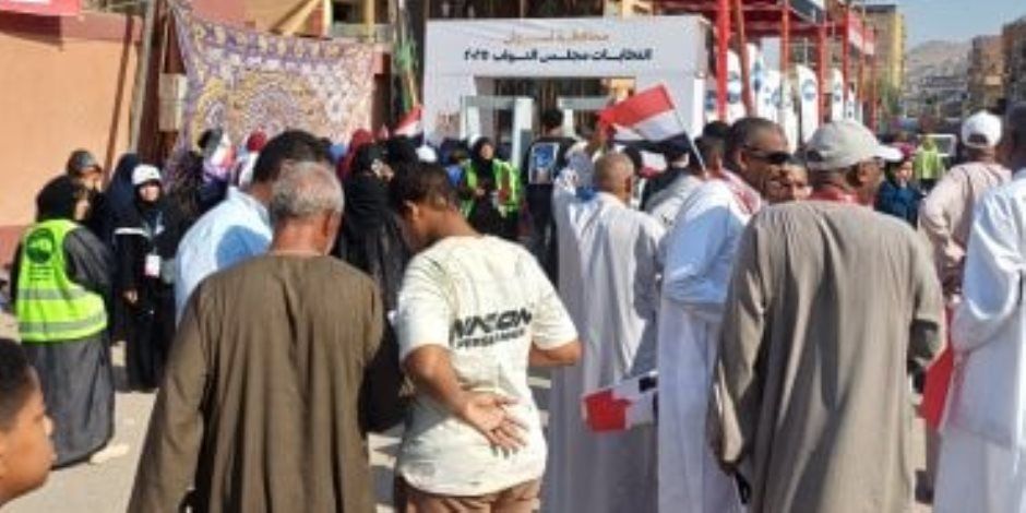 إقبال ملحوظ من الناخبين على لجان التصويت في أسوان