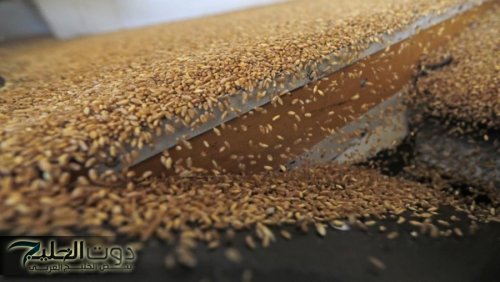 الأردن يشتري نحو 60 ألف طن من القمح بـ262 دولارا للطن