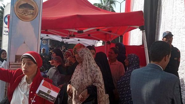 بدء العد التنازلي للمرحلة الثانية من انتخابات البرلمان 2025.. تعرف على المحافظات المشمولة