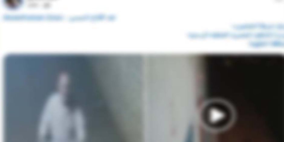 الداخلية تكشف الحقيقة الكاملة لفيديو "البلطجي وسرقة الكاميرات" في الدقهلية.. القصة بدأت بخلاف على الميراث!