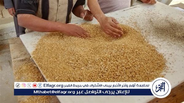 "الزراعة": توزيع 75 سطارة مطورة لرفع كفاءة زراعة القمح على مصاطب ودعم الممارسات الحديثة المرشدة للمياه في المحافظات