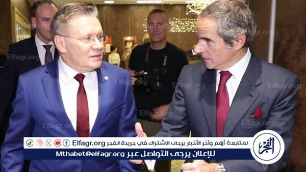 ليخاتشوف وغروسي يبحثان الوضع في محطة زابورجيه النووية