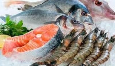 أخبار اليمن : 6 أنواع من الأسماك تناولها يفيد صحة قلبك ودماغك
