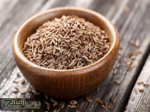 "العالم كله لازم يعرفها" .. فتاة مصرية تكشف عن عشبة سحريه تمنع ارتفاع الكولسترول وتحارب السرطان