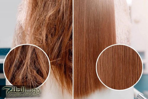 شعرك هيبقا كتلة جمال في الشتاء.. اكتشفي أقوى 5 ماسكات طبيعية هترجّعله النعومة من أول مرة