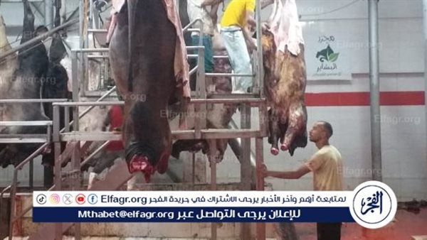 عاجل ـ انطلاقة جديدة لخدمة القرى والحدود: مصر تطلق أول مجزر متنقل محلي الصنع بسعة 100 رأس لتوفير لحوم آمنة للمواطنين
