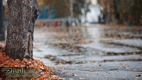 الأرصاد تتوقع طقسًا خريفياً مائلاً للبرودة مع شبورة مائية وفرص أمطار ضعيفة غدًا الاثنين