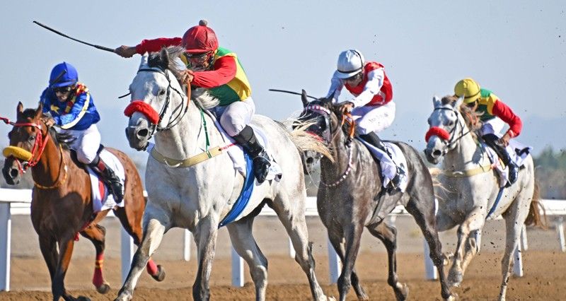 «مضمون» بطلا للإنتاج المحلي و«أر بي بلاست أوف» يتوج بكأس الخيول العربية الأصيلة و«ليبيان كلاسيك» يتوج بكأس الخيول المهجنة الأصيلة